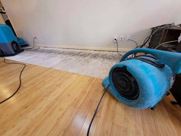 Reliable Burst Pipe Water Damage contractor in Columbia, MS by Hirex Water Damage