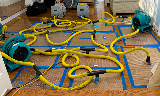Professional Burst Pipe Water Damage technician working in Columbia, MS
